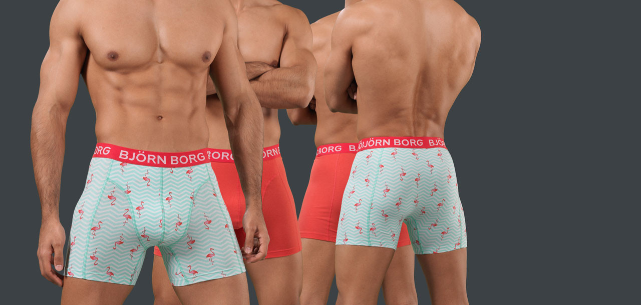 Bjorn Borg Flamingo Stripe Boxershort 2-Pack 1139, color Nee